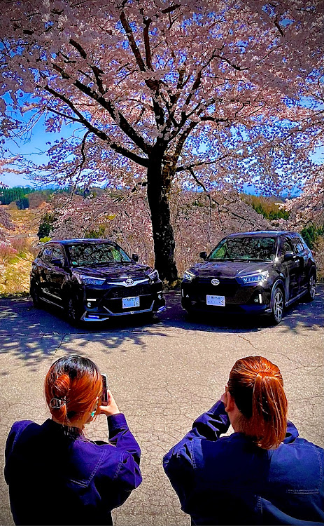 アルファードのいつもイイネ&コメントありがとうございます🙇‍♂️・自己満足・桜コラボはまだまだ続く・明日からはまたチャリ通勤に関するカスタム事例の投稿画像5枚目