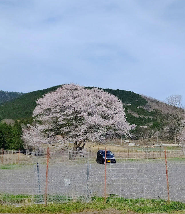 の投稿画像3枚目