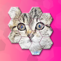 Icon Cats Jigsaw! - Hexa Puzzle