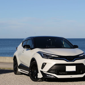 C-HR ZYX11