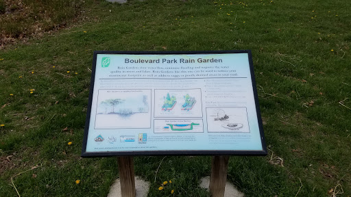 Boulevard Park Rain Garden