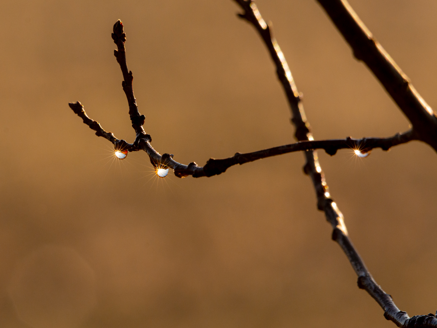 Acqua di prima mattina di MorellatoFotoLab