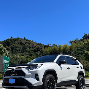 RAV4 MXAA54