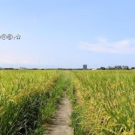 頭城車站阿伯炸蛋蔥油餅