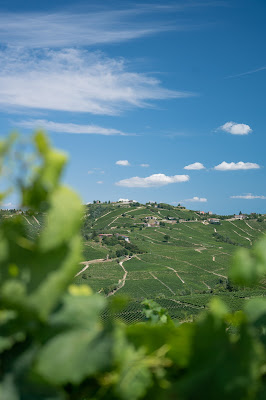 Cielo Terra di ellegiemme