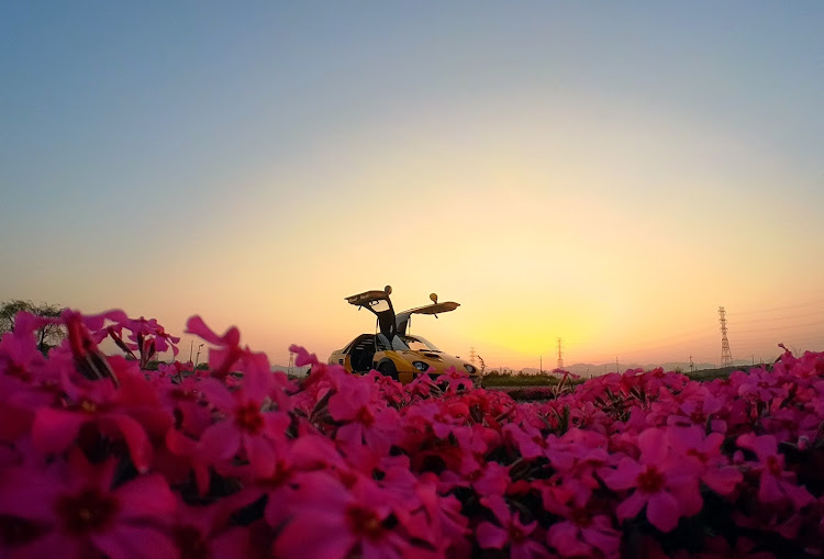 AZ-1の花とコラボ・芝桜・芝桜と愛車・ガルウィング・自撮り棒に関するカスタム事例の投稿画像1枚目