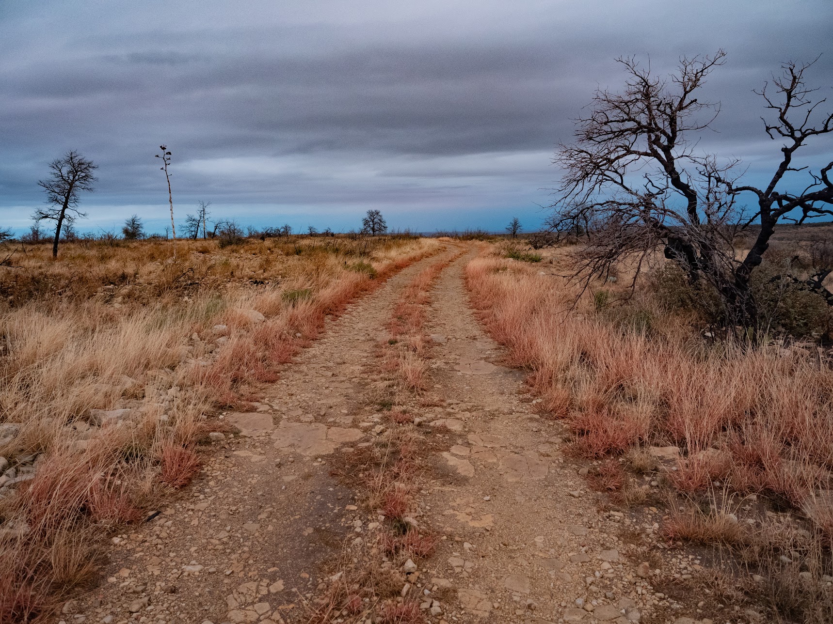 A pink road