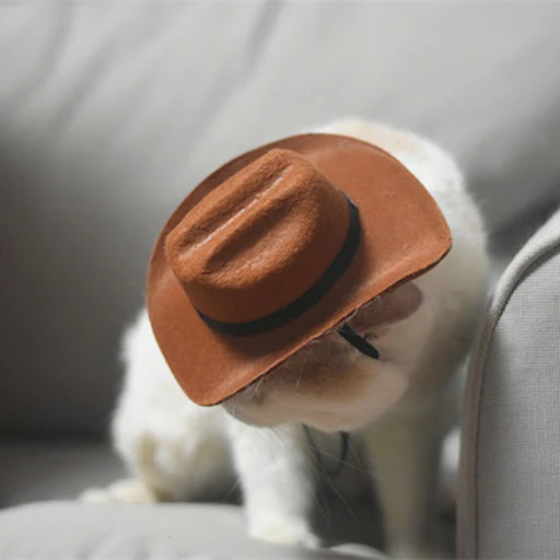 Cat Cowboy Hat Pet Bandana and Hat Set Western Cowboy Hat for Cat Dog Helmet Straw Pet Hat Pet Products Dog Accessories 