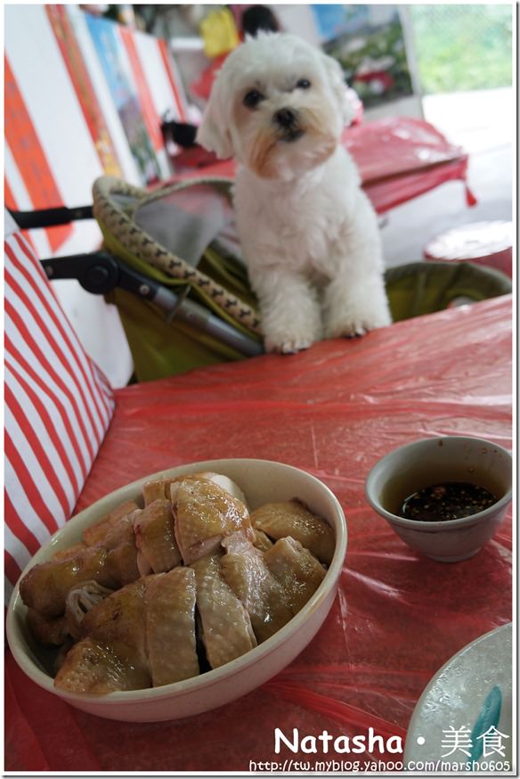 å¯µç‰©å‹å–„é¤å»³â”‚å°åŒ—é™½æ˜Žå±±ç¾Žé£Ÿâ”‚ç«¹å­æ¹– é’èœåœ’