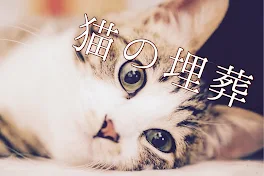 猫の埋葬