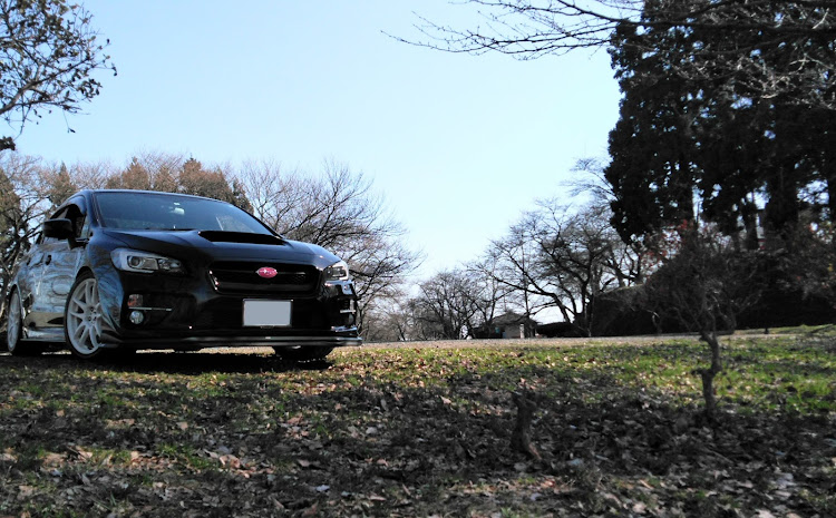 WRX S4のワクチン接種3回目・桜とコラボ🌸に関するカスタム事例の投稿画像1枚目