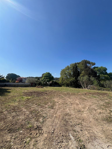 Terrain 5