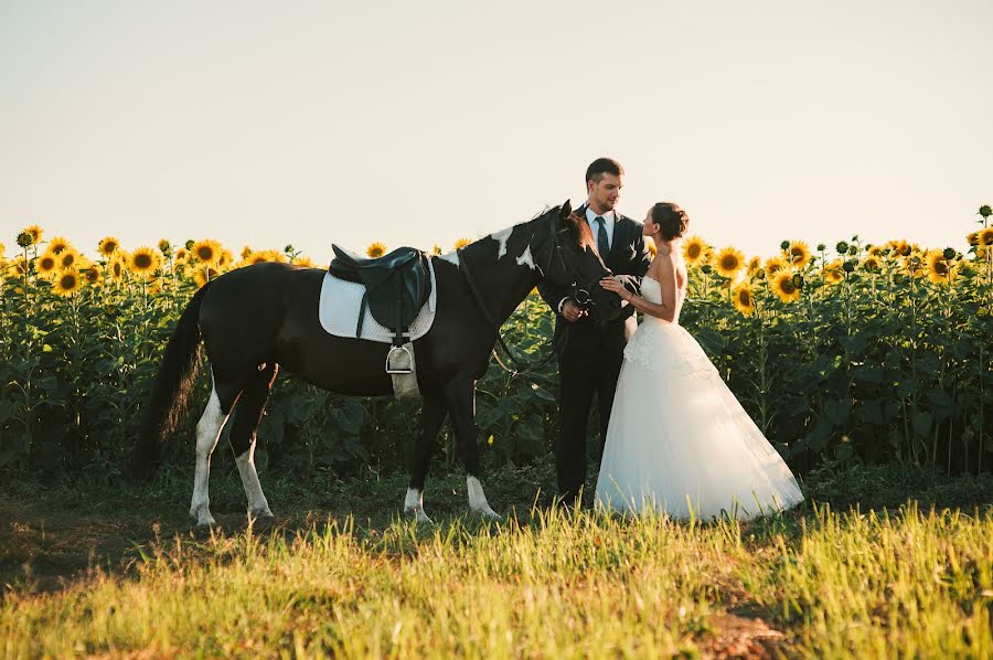 Wedding photographer Nikolay Shkoda (nvarts). Photo of 9 July 2018