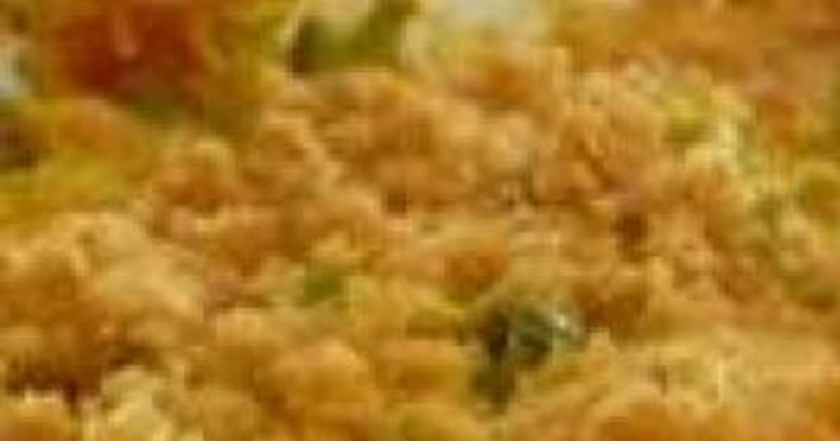 Broccoli Casserole 6 | Just A Pinch Recipes