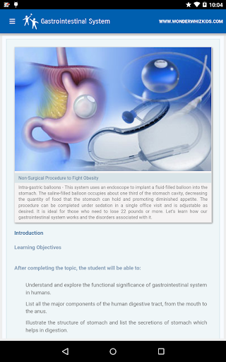 Gastrointestinal System