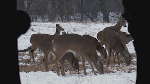 Late Season Patterns thumbnail