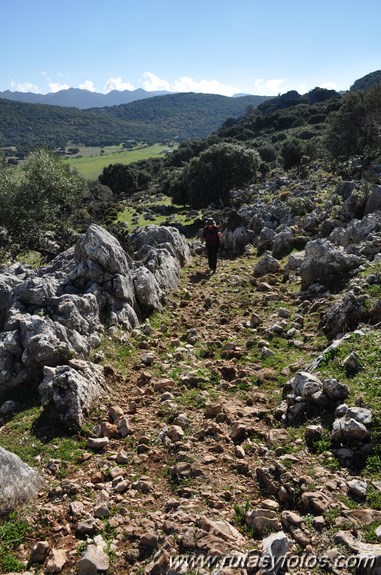 Calzada de Villaluenga a Grazalema