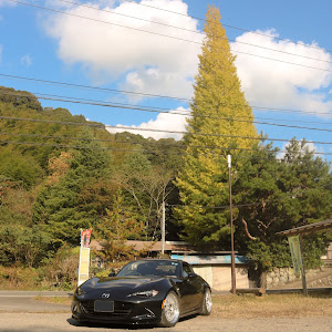 ロードスター ND5RC