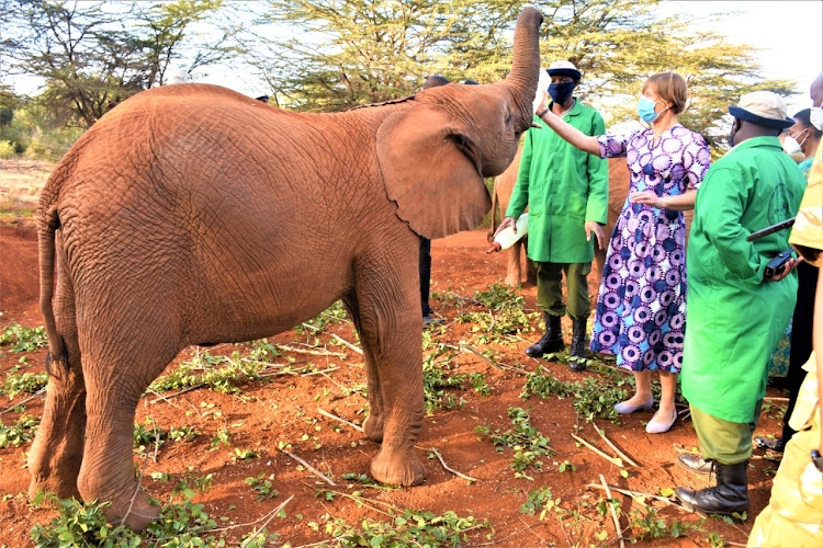 Estonian president Kersti Kaljulaid when she visited the Elephant Sanctuary in Karen