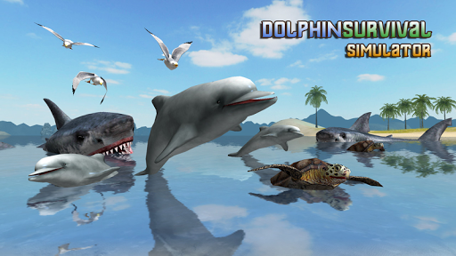 Dolphin Survival Simulator