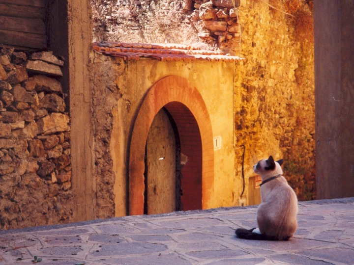 Oltre la porta... di Simone De Barba