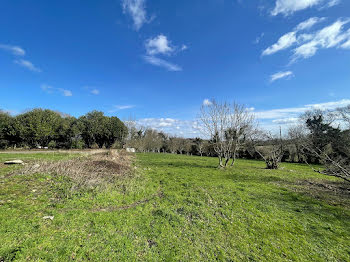 maison à Pluguffan (29)