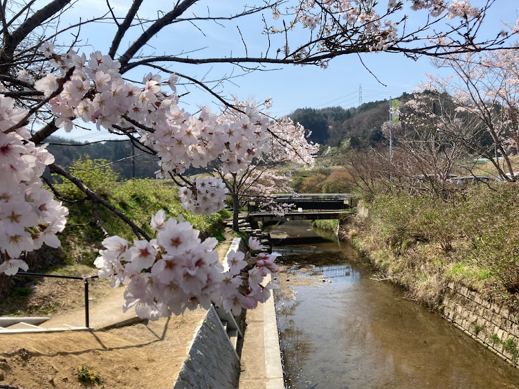 の投稿画像8枚目