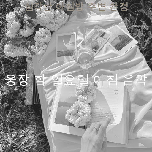 조용한 일요일 사운드 - YouTube Music