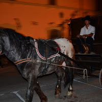 In carrozza !!! di 