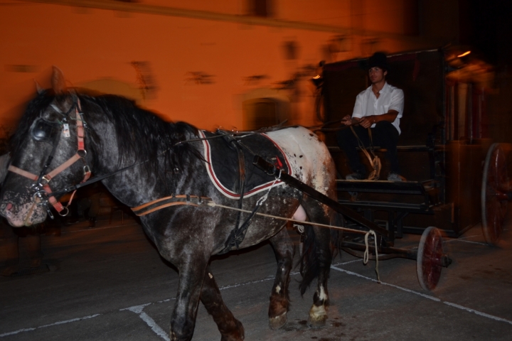 In carrozza !!! di MARCO MONTORI 