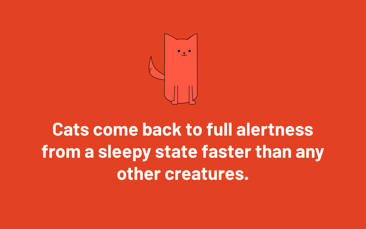 MeowMeowFacts Preview image 5