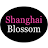 Shanghai Blossom icon