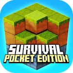 Cover Image of Download Survival 3D Pocket Edition 1.0 APK