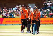 The Nelson Mandela Bay Giants celebrate a wicket during their Mzansi Super League match against Durban Heat at St. Georges Park 