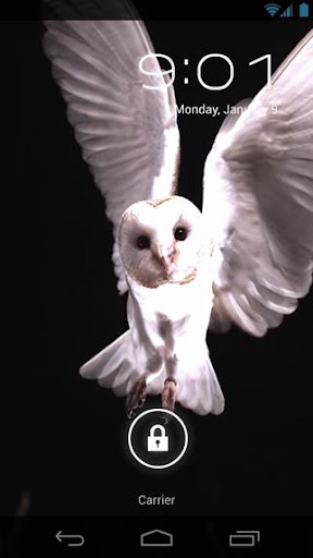 Barn Owl Flight Live Wallpaper