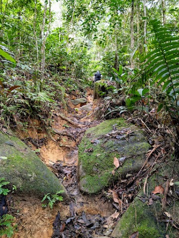 Gunung Nuang via Janda Baik Hiking Trail