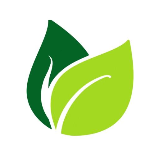 Gifty Leaf - Order Cake, Flower  Gifts Online