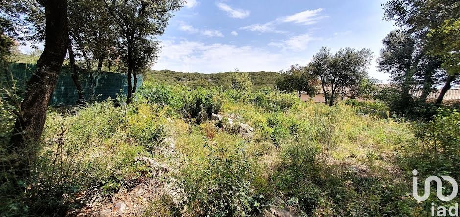 Vente terrain  1240 m² à Caussiniojouls (34600), 65 000 €