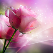  скачать  Pink Roses Live Wallpaper 