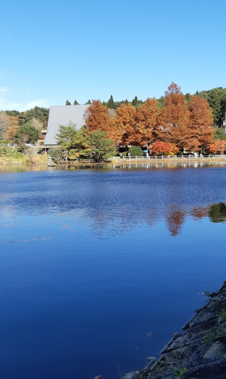 オデッセイのRCオデッセイ・紅葉コラボ不発・ポカポカ陽気・広島県に関するカスタム事例の投稿画像5枚目
