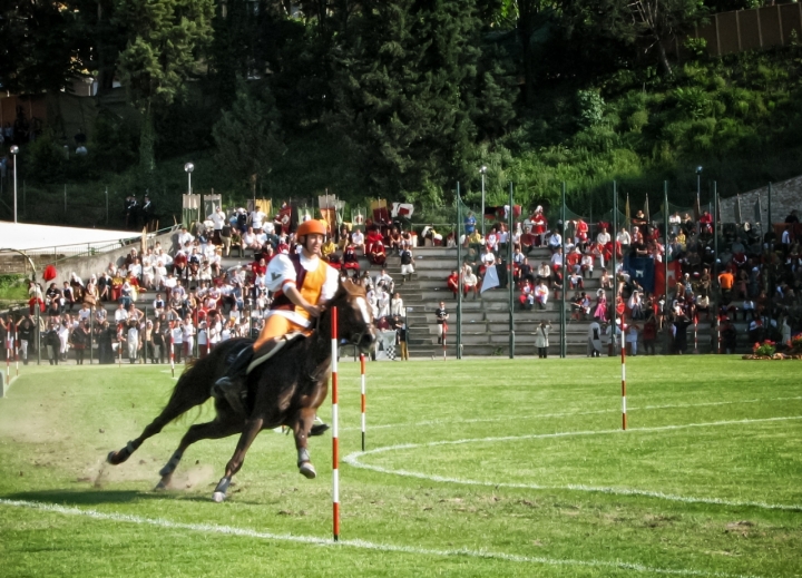 Corsa all'anello di alessandrocastellani