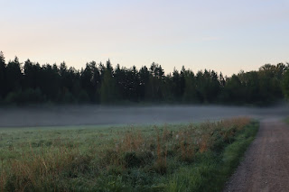 päikesetõus Jõgeharal