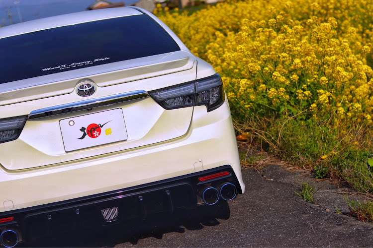 マークXの愛車に感謝・菜の花と熱気球と愛車・桜ゎ次回🌸・すっかり春ですね・嫁に感謝に関するカスタム事例の投稿画像3枚目
