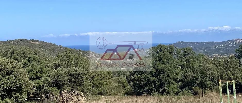 Vente terrain à batir  2046 m² à Calenzana (20214), 309 355 €