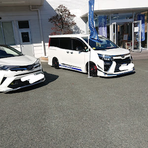 ヴォクシー ZRR80W