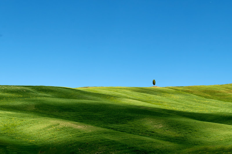 Uno: la solitudine dei numeri primi di franca111