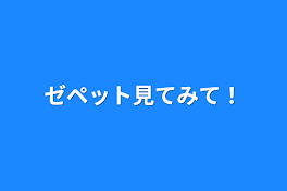 ゼペット見てみて！