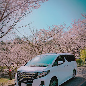 アルファード AGH30W
