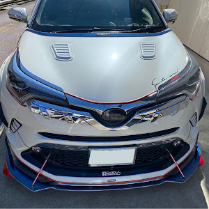 C-HR ZYX10