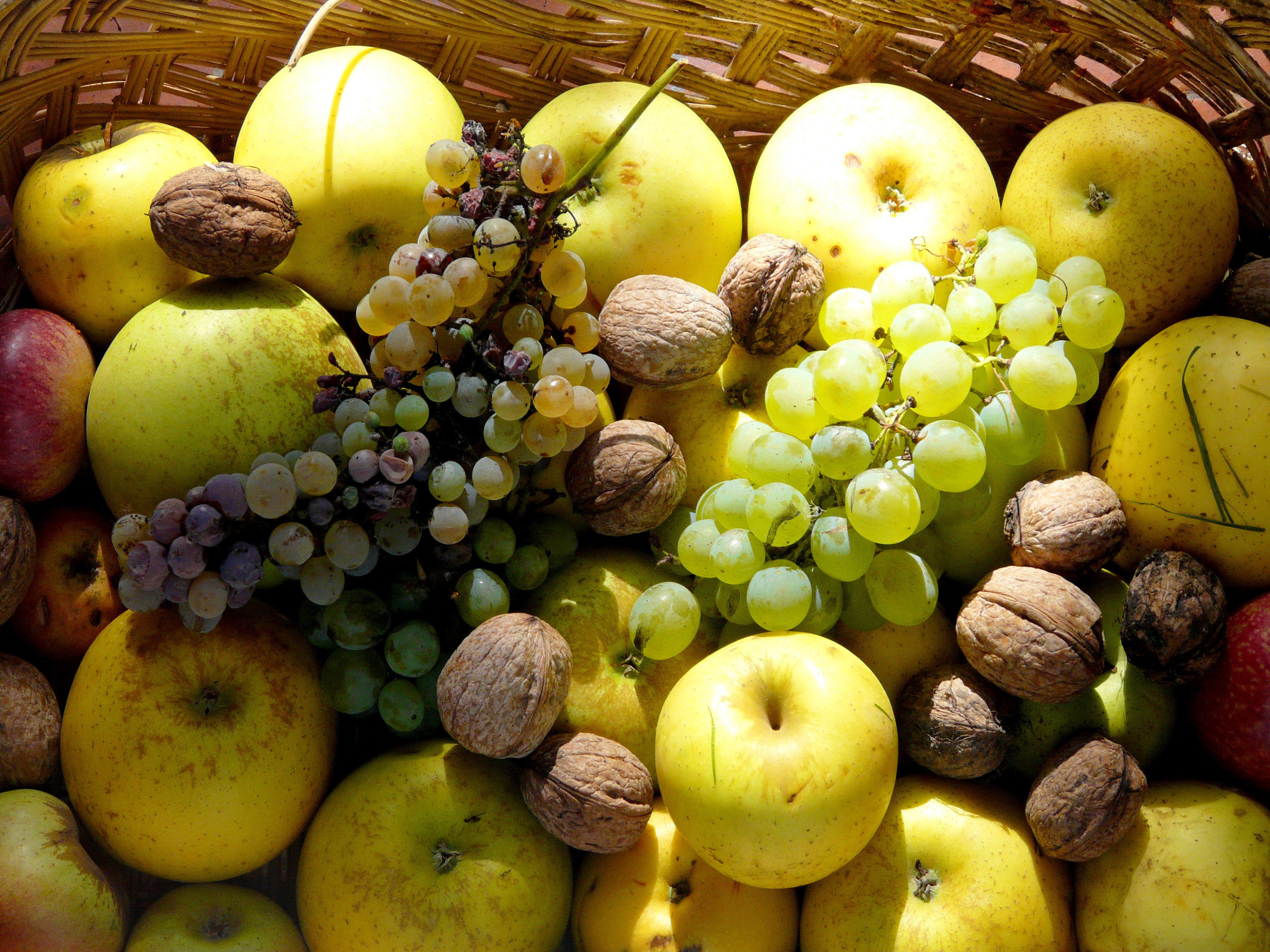 Frutti autunnali di Mario Romano